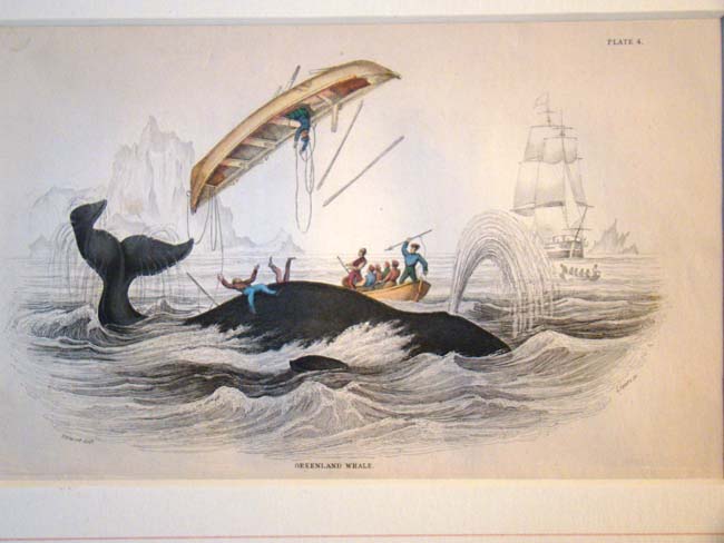 A charming 19th  century hand colored Whaling print published by W.H. Lizars in 1837